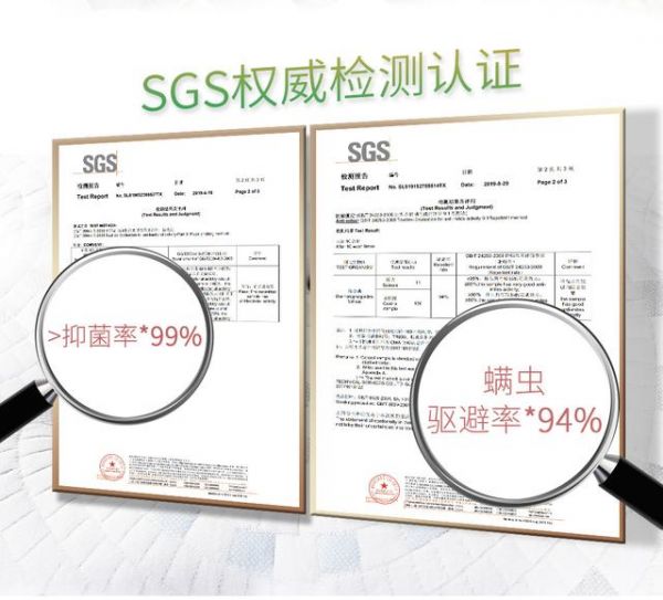 穗宝经典棕垫升级抗菌 | 2020,不止护脊,睡眠再升级