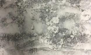 「德叔课堂」旧墙腻子翻新,怎么做?-德高<a target=