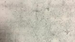 「德叔课堂」旧墙腻子翻新,怎么做?-德高<a target=