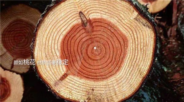 采用风靡英国皇室的木中贵族,这款大自然<a target=
