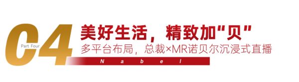 双冠加身!诺贝尔瓷砖2020双11再度蝉联销冠