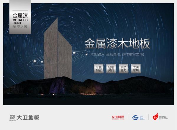 星空之境 | 大卫<a target=