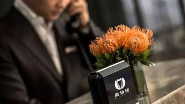 睿筑国际与知名高端品质生活品牌茵澳服务集团续约,升级豪宅别墅定制服务