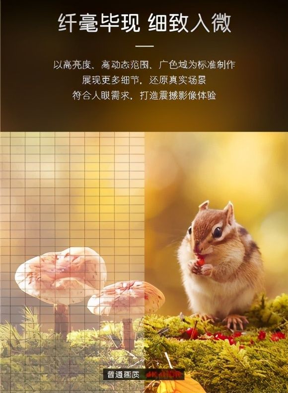 看电影何必去影院?卡萨帝发布M150电视,把智慧影院带回家