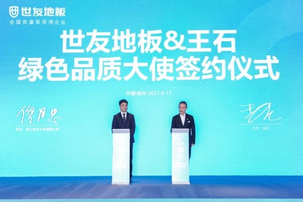 是什么，让王石担任了世友<a target=