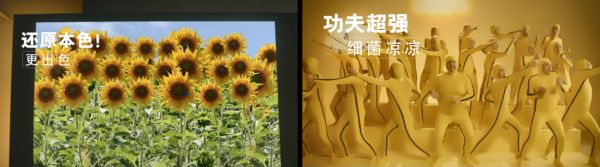 image004.png