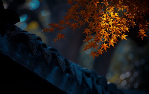 =