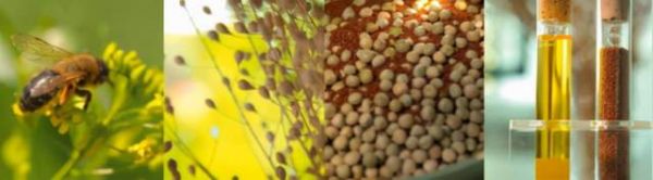 环保语境下的涂料科研 | 德爱威乳胶漆怎么样？