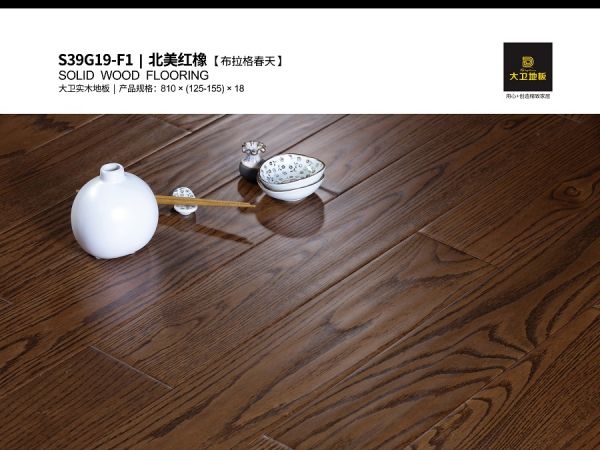 大卫<a target=