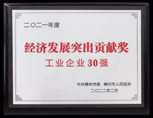 (森歌荣获“工业企业30强”奖项)