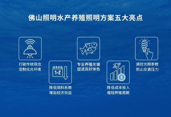 佛山照明养殖照明系统新突破,对虾产量猛增20%!
