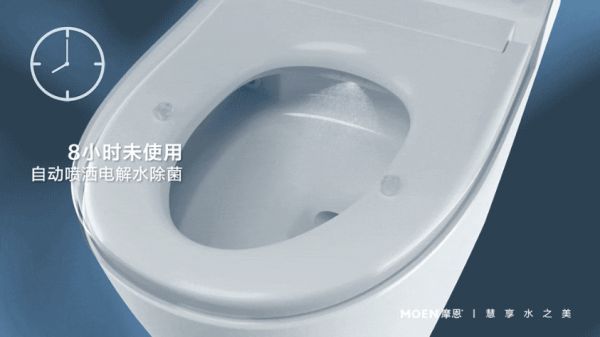 智能马桶哪个牌子好？摩恩<a target=