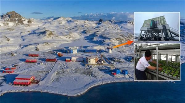 探秘长城站:四季沐歌空气能热泵助力南极长出优质蔬菜