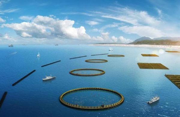 大国工程丨修复海洋生态,联塑擦亮蔚蓝底色