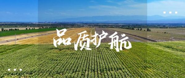 大国工程丨联塑助力新疆双河市86团高标准农田建设,打造高效农业样板