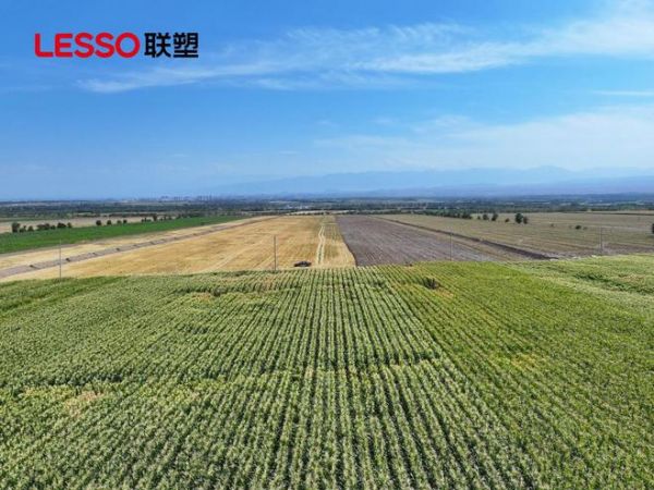 大国工程丨联塑助力新疆双河市86团高标准农田建设,打造高效农业样板