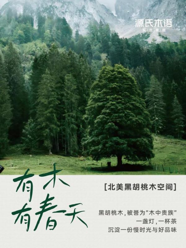 源氏木语蓄势待发,深圳国际家具展见证实木+家具新篇章