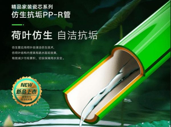联塑全屋管道解决方案:助力老房翻新,实现水电无忧