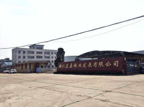 北圆建材品牌持续创新,深耕木质建材市场