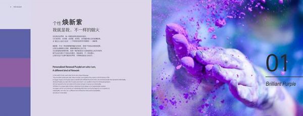 蒙太奇氧宝3.0负氧离子艺术<a target=