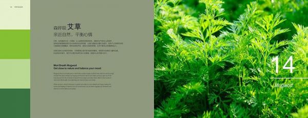 蒙太奇氧宝3.0负氧离子艺术<a target=