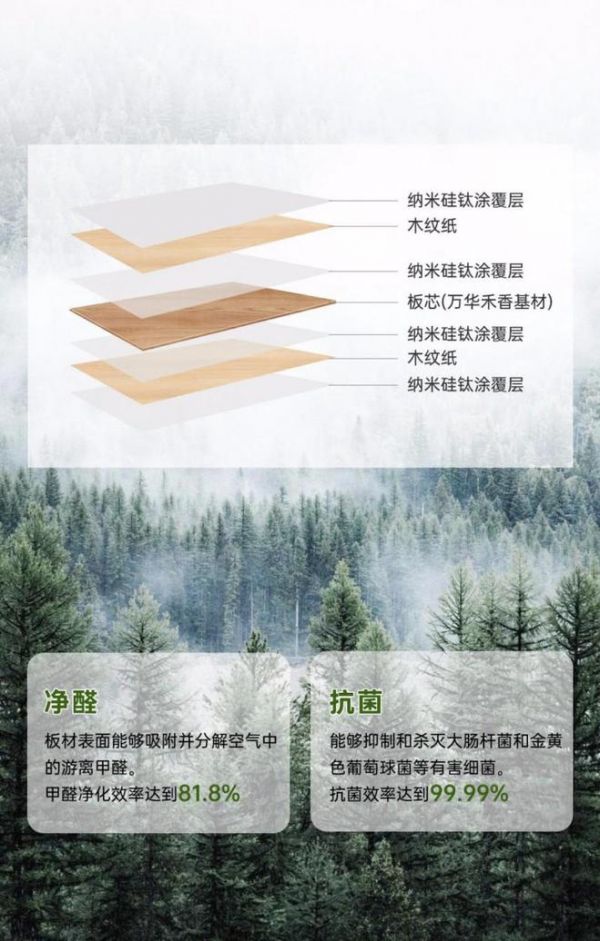 从源头守护家人健康:太子家居无醛整体家具,品质生活好选择