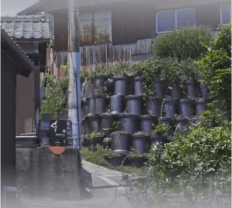 进口<a target=