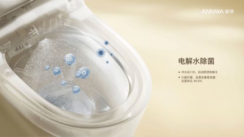 双十一购物节智能马桶选购保姆级攻略,看这一篇就够了