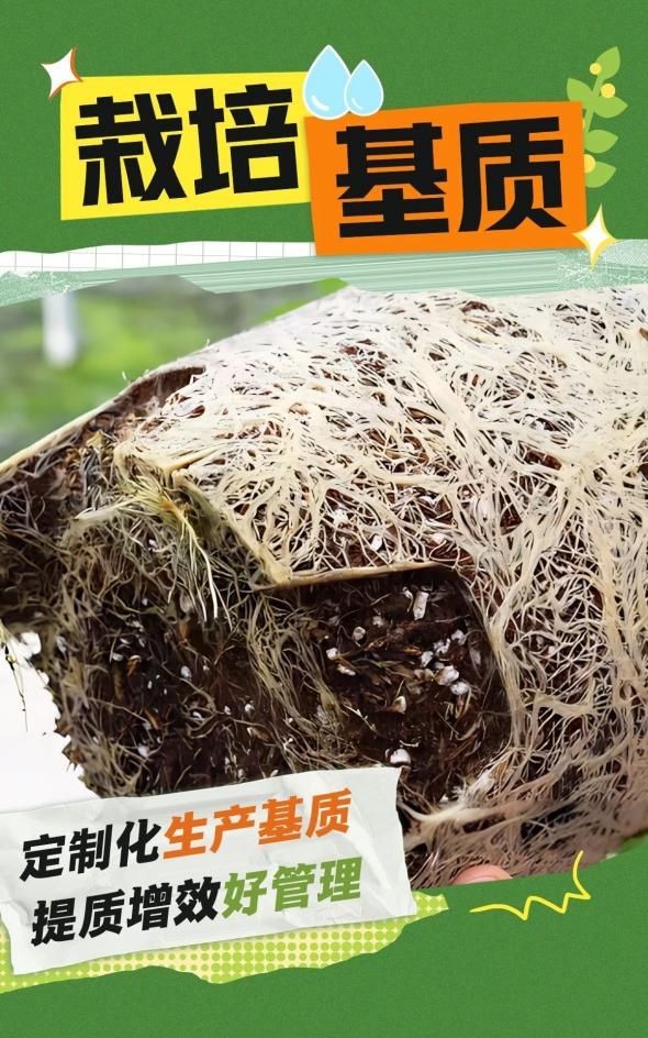 微信图片_20241213172705