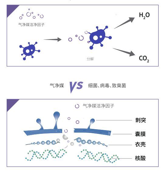 告别清新剂掩盖!气净媒主动分解甲醛,重塑室内空气安全