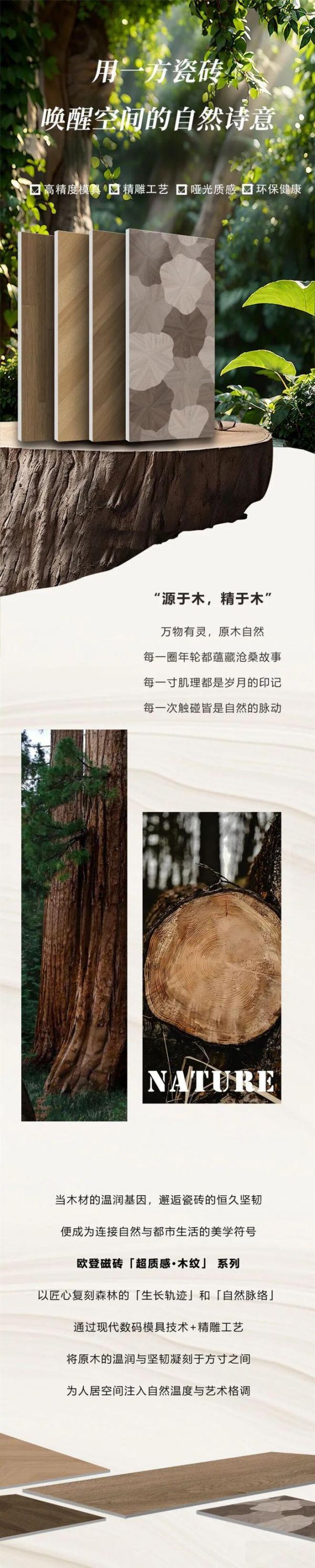 新品上市 | 陶瓷一线品牌欧登磁砖超质感·木纹,用一方瓷砖,唤醒空间的自然诗意
